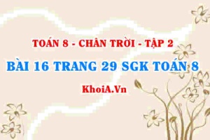 Bài 16 trang 29 Toán 8 Chân trời sáng tạo Tập 2